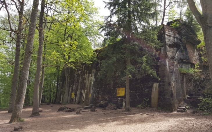 Komplex Vlčího doupěte je jedním z mála dochovaných monumentů nacistického Německa. I po letech z něj mrazí